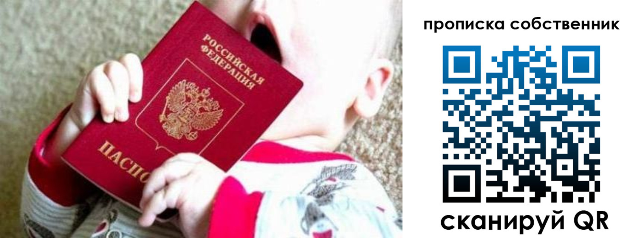 прописка для школы в Луге