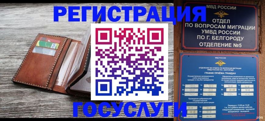 временная регистрация гарантия в Луге